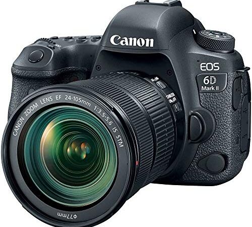 Canon EOS 6D Mark II with EF 24-105mm is STM Lens, WiFi Enabled