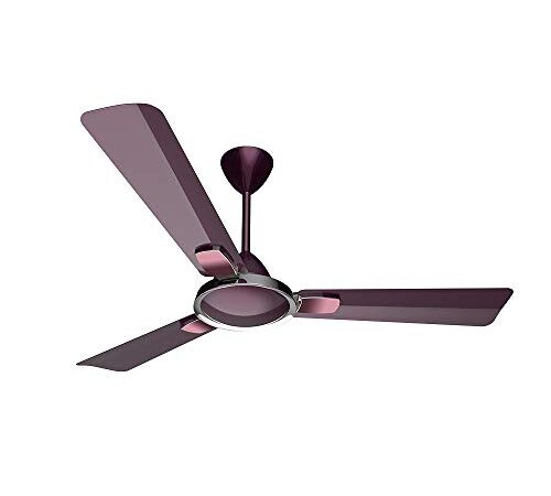 Crompton Highspeed Markle Prime 1200 mm (48 inch) Anti-Dust Ceiling Fan with Energy Efficient 55W Motor (Burgundy)