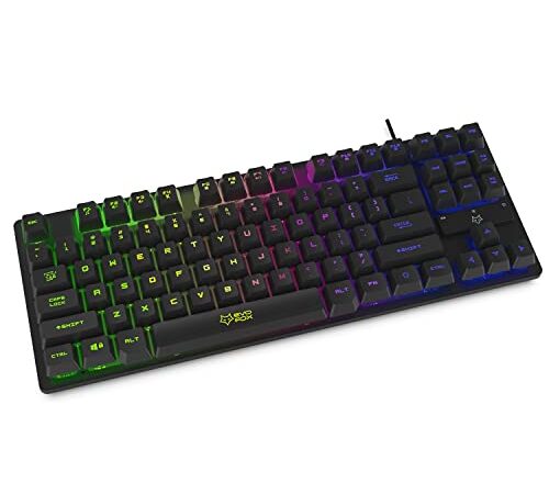 EvoFox Fireblade Gaming Keyboard with Compact TKL Design, LED Backlit, Anti-Ghosting Keys and Windows Lock Key (Wired) (Black)