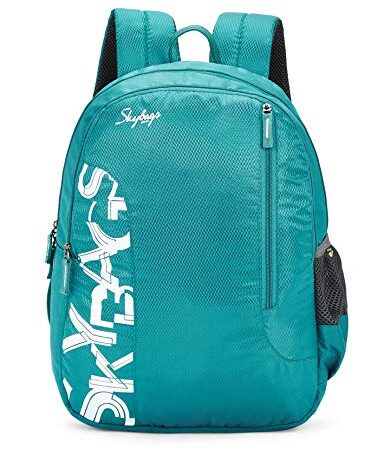 Skybags Brat Sea Green 46 Cms Casual Backpack