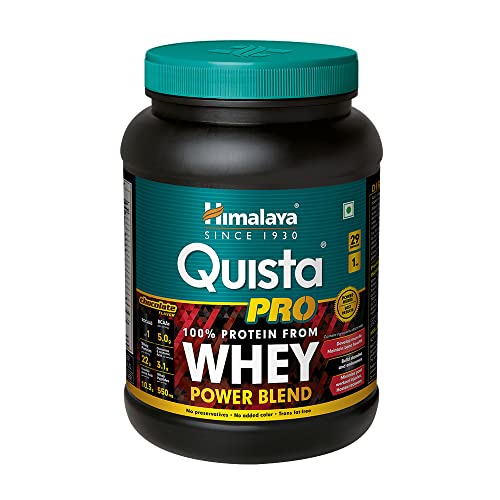 Best whey protein powder 1kg in 2022 [Based on 50 expert reviews]