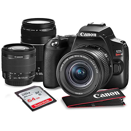 Best canon 1500d dslr camera in 2023 [Based on 50 expert reviews]