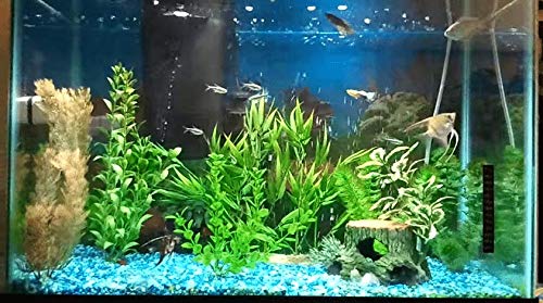 Best fish tank in 2023 [Based on 50 expert reviews]