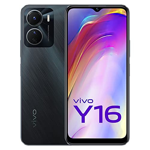 Best vivo in 2023 [Based on 50 expert reviews]